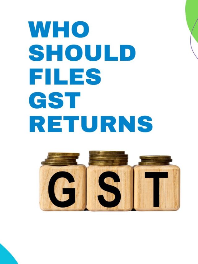 WHO SHOULD FILES GST RETURNS